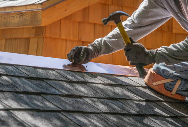 Best Solar Panel Roofing Installation  in Smiths Station, AL